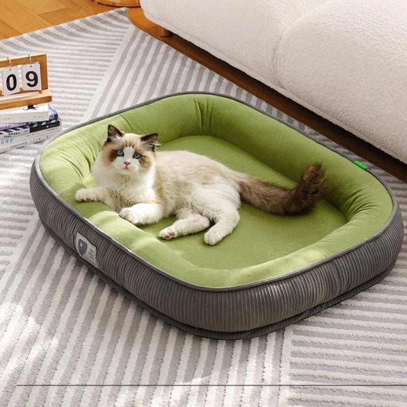 cat bed