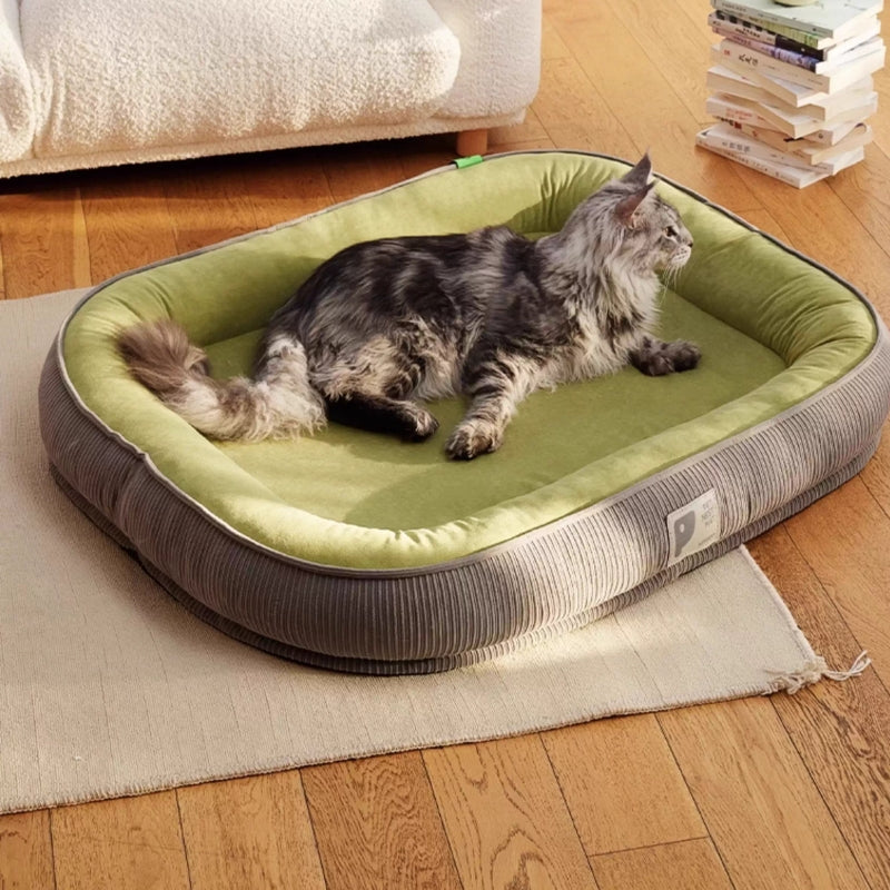 cat bed