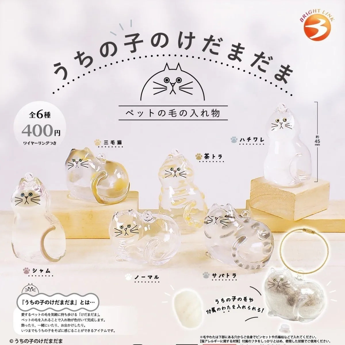 Cat Fur Keepsake Pendant – Creative Pet Hair Storage Decoration for Cat Lovers