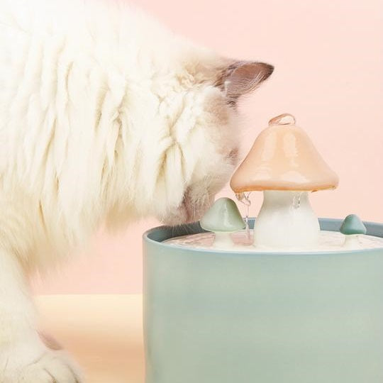 1500ml Ceramic Cat Water Fountain with 3Filters