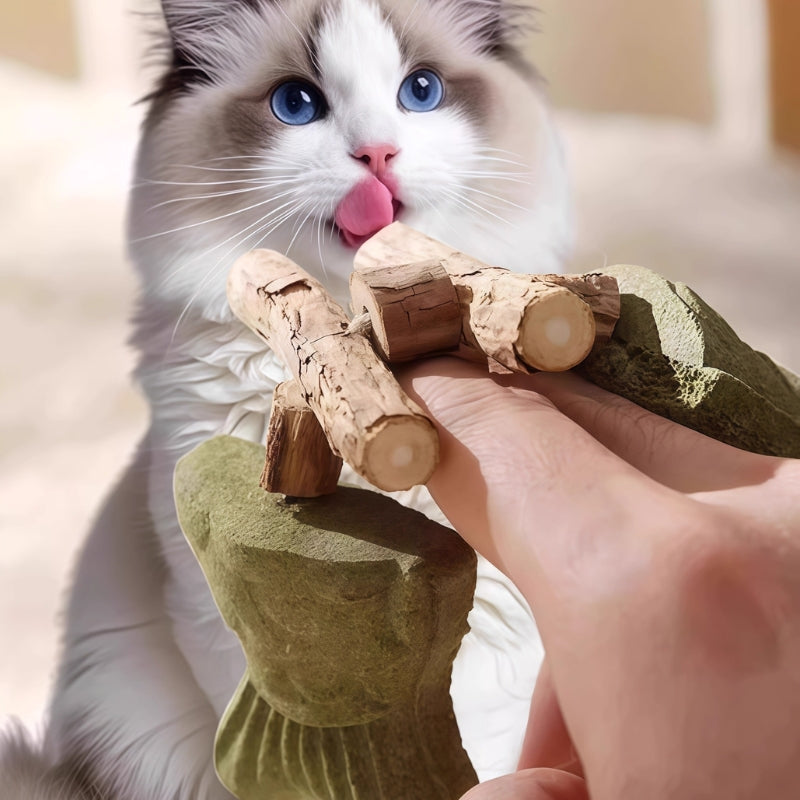 Catnip Fishbone Toy