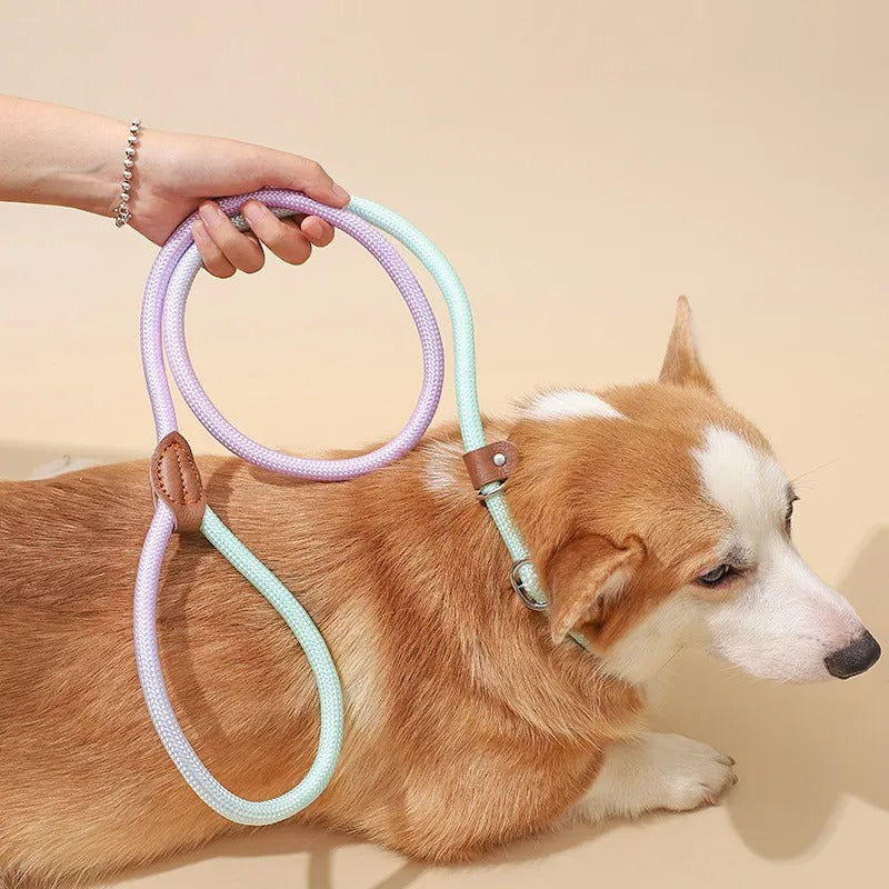 Adjustable P-Style Dog Leash – Slip Lead Rope for Training & Walking