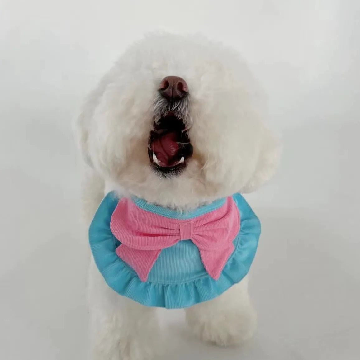 Bow Tie Pet Neck Collar for Small & Medium Pets – Accessory for Cats & Dogs