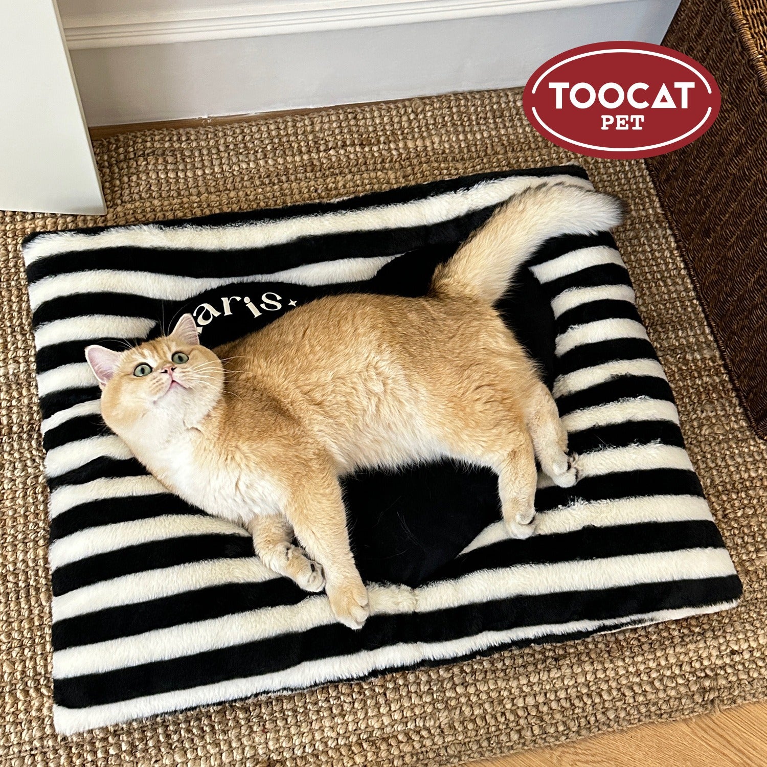 Lamb Fleece Pet Bed｜Soft & Cozy Sleeping Mat for Cats & Small Dogs (67×57cm)