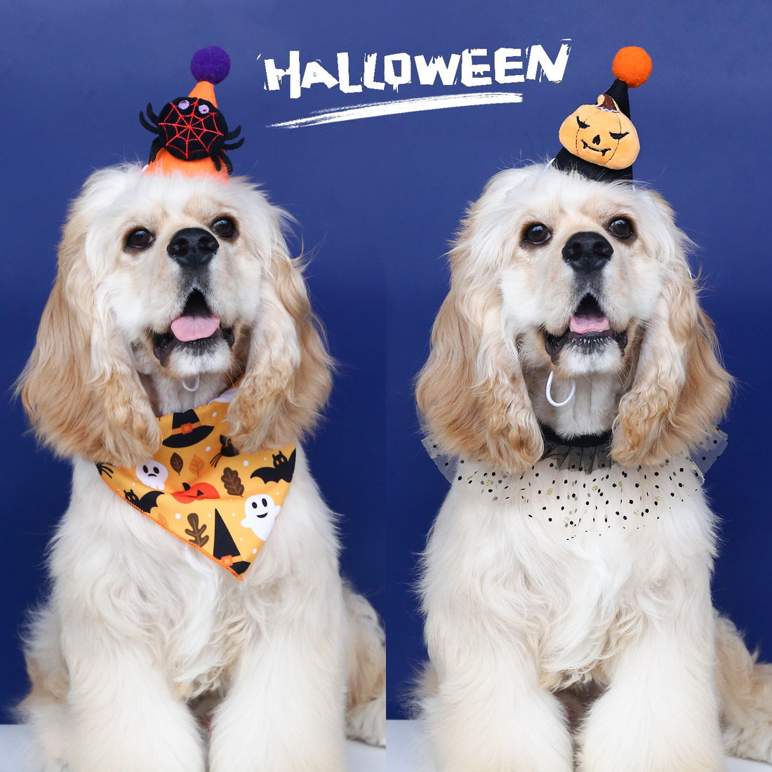 Halloween Pet Accessory for Cats & Dogs – /Pumpkin Headpiece Fits 5.5–44 lbs