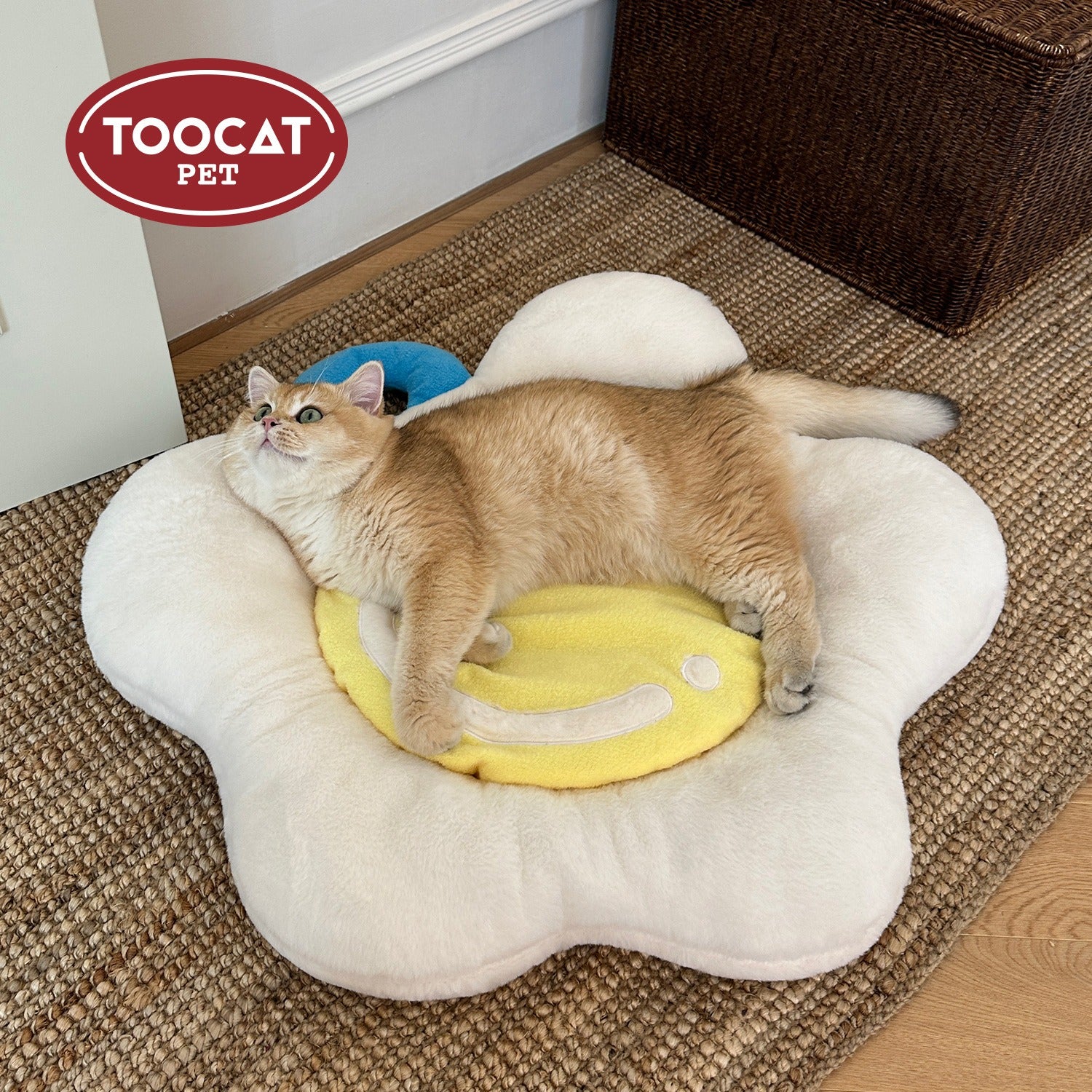 All-Season Cat Bed｜Soft & Removable Design for Easy Cleaning – Also for Small Dogs