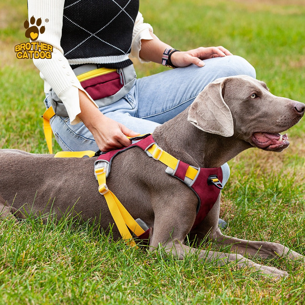All-Breed Adjustable dog Harness