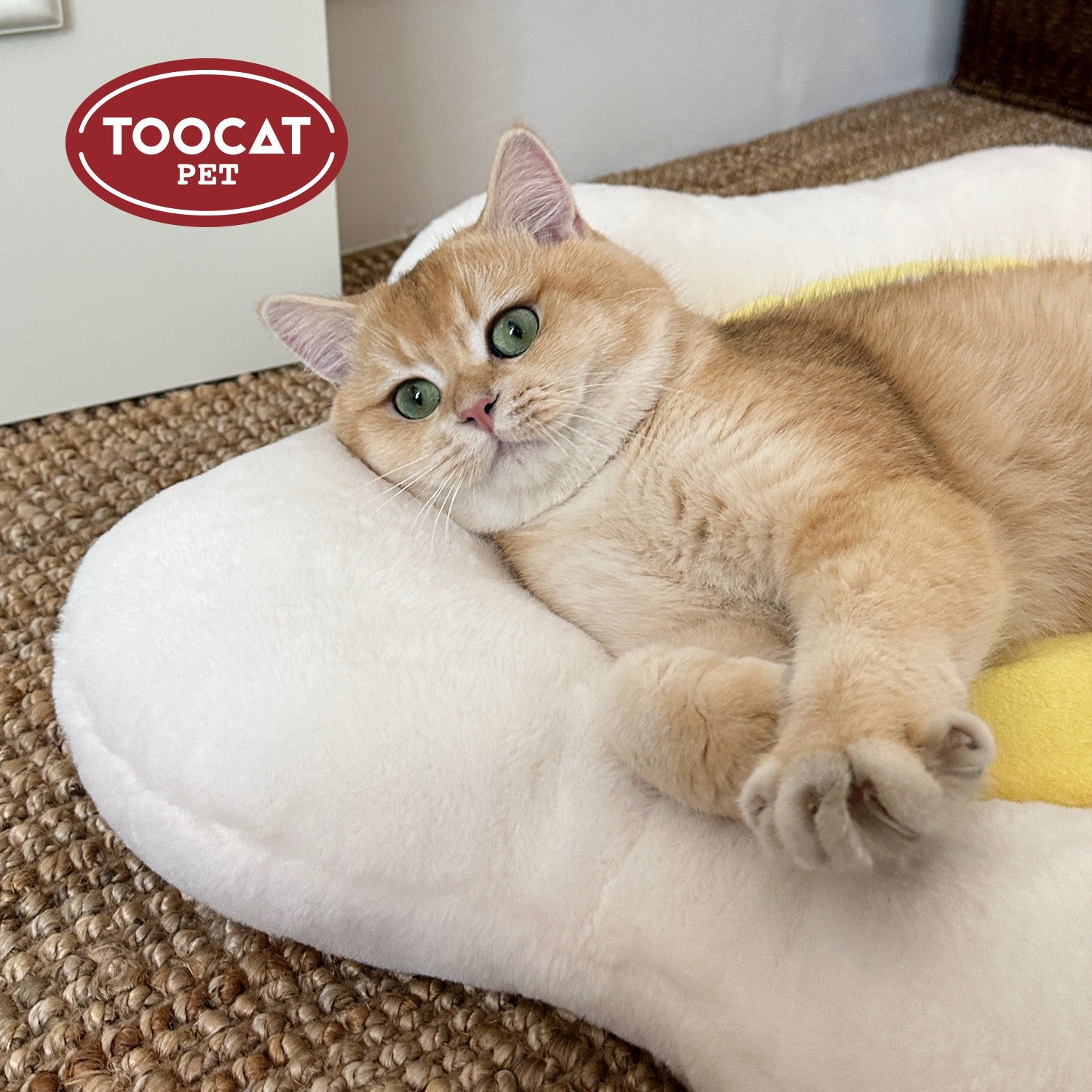 All-Season Cat Bed｜Soft & Removable Design for Easy Cleaning – Also for Small Dogs