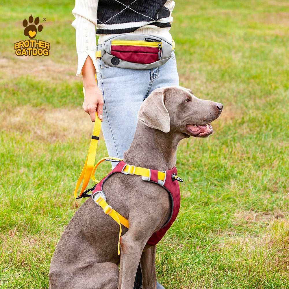 2-in-1 Hands-Free Pet Leash｜Handheld or Waist-Wearable with Storage Waist Pack｜Ideal for Jogging & Daily Walks
