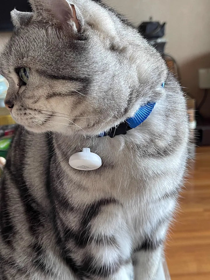 Smart Infrared Pet Feeder – Automatic Sensor-Controlled Food Dispenser
