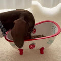 Ceramic Pet Bowl