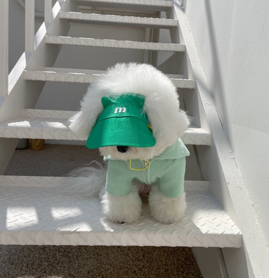Dog Sun Visor Cap – UV-Blocking, Breathable Brim Hat for Small & Medium Dogs
