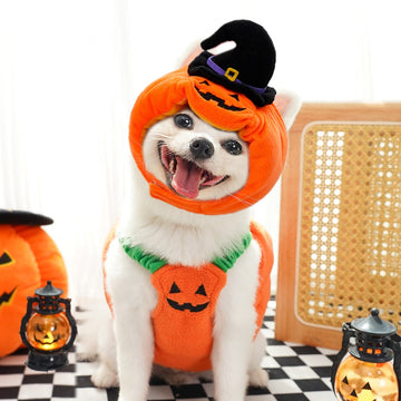 2pcs Halloween Pumpkin Costume for Dogs – Funny Pet Outfit for Small & Medium Dogs – Cosplay Dog Clothes