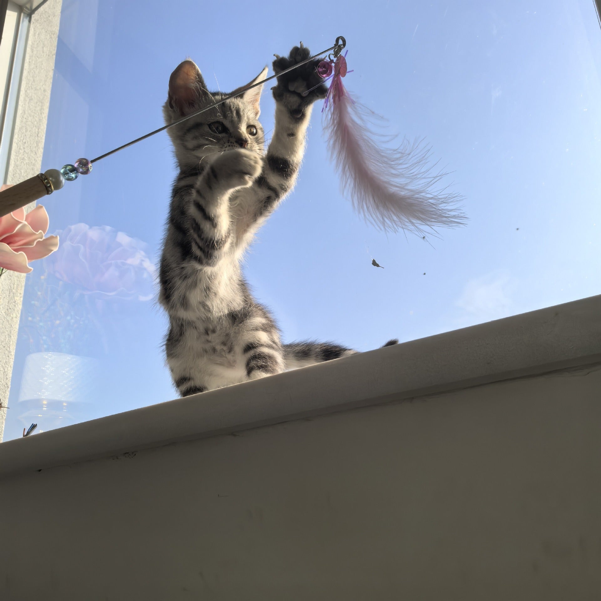 Interactive Feather Cat Toy Wand – Teaser Stick for Indoor Cats & Kittens