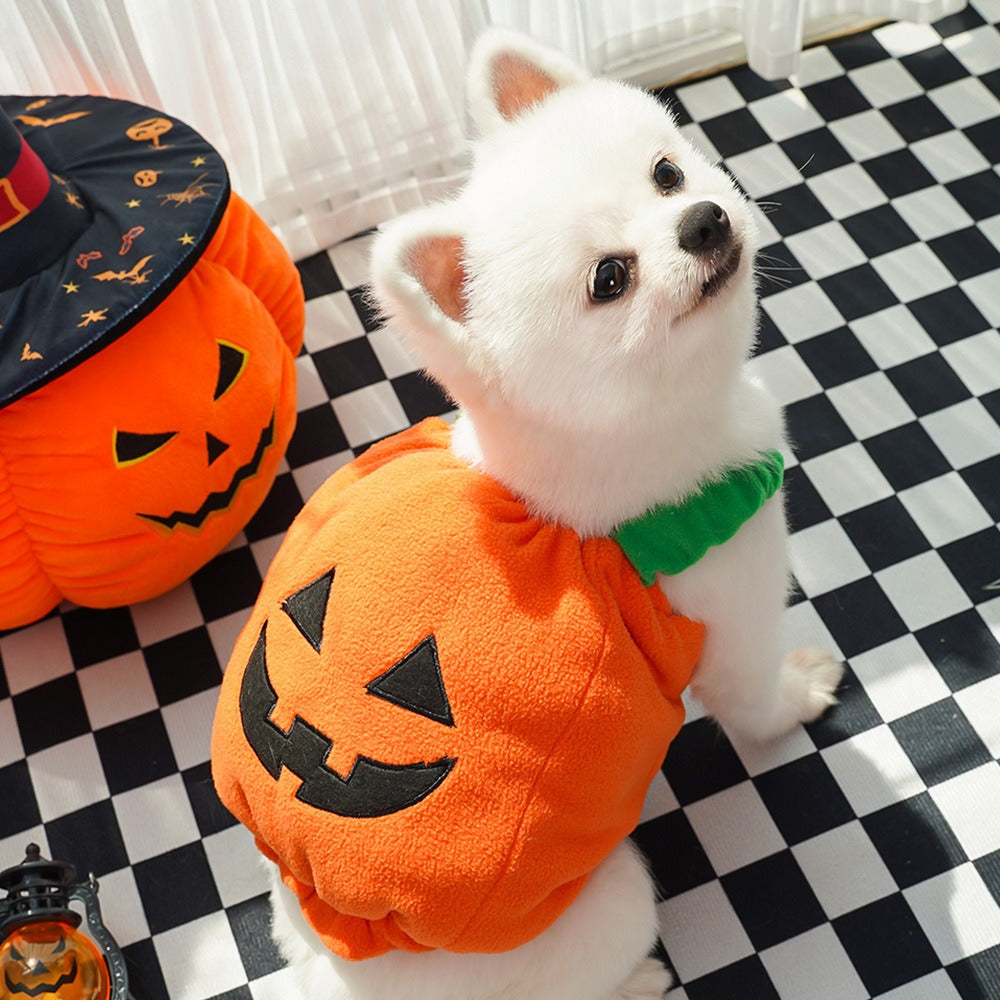 2pcs Halloween Pumpkin Costume for Dogs – Funny Pet Outfit for Small & Medium Dogs – Cosplay Dog Clothes