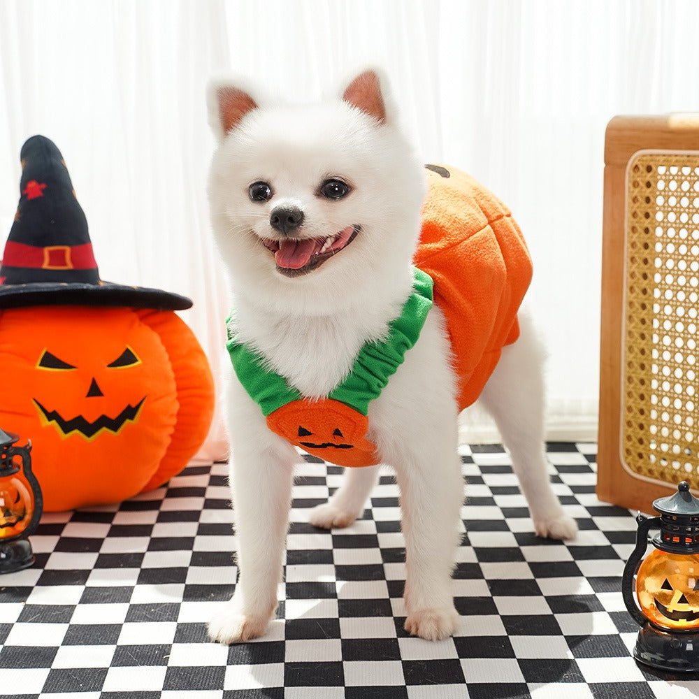 2pcs Halloween Pumpkin Costume for Dogs – Funny Pet Outfit for Small & Medium Dogs – Cosplay Dog Clothes