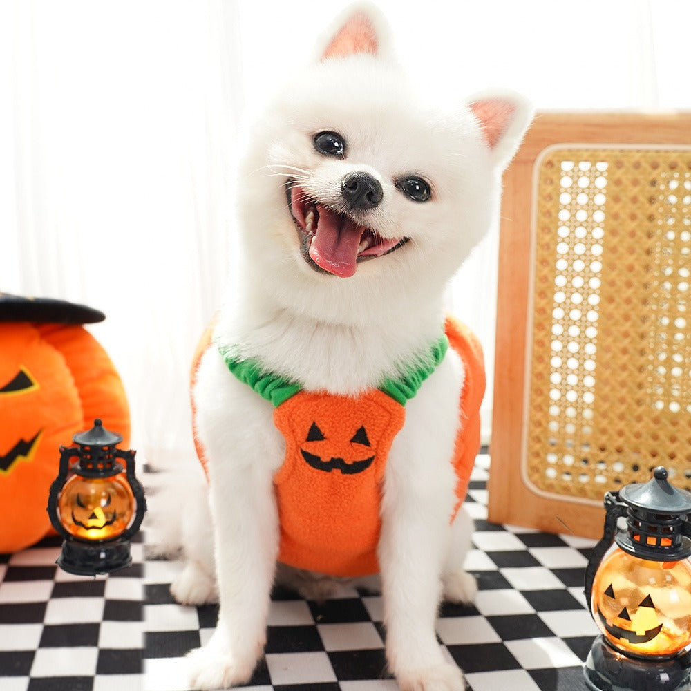 2pcs Halloween Pumpkin Costume for Dogs – Funny Pet Outfit for Small & Medium Dogs – Cosplay Dog Clothes