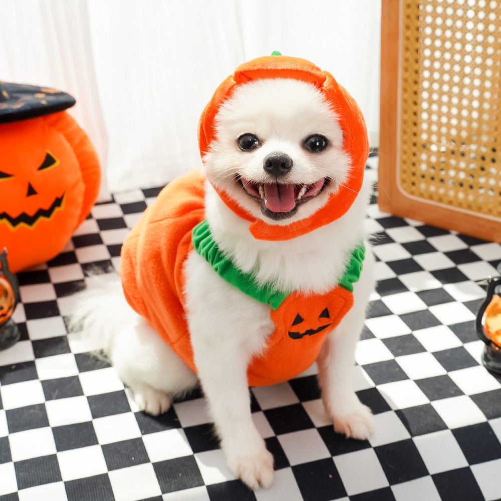 2pcs Halloween Pumpkin Costume for Dogs – Funny Pet Outfit for Small & Medium Dogs – Cosplay Dog Clothes