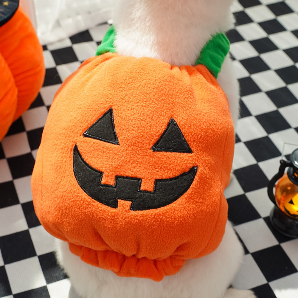 2pcs Halloween Pumpkin Costume for Dogs – Funny Pet Outfit for Small & Medium Dogs – Cosplay Dog Clothes
