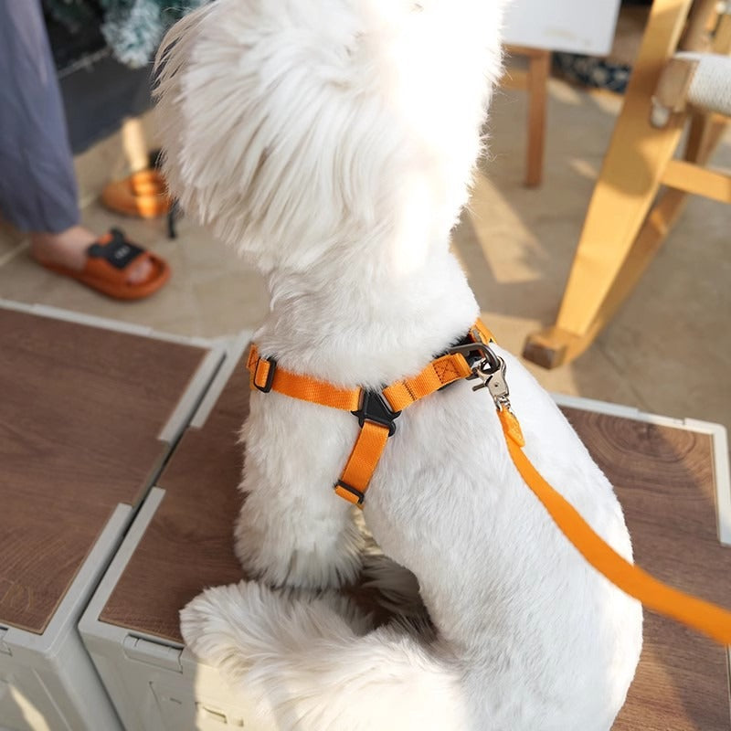 Adjustable Breathable Harness for Small & Medium Pets｜Vest-Style Lightweight Dog Harness