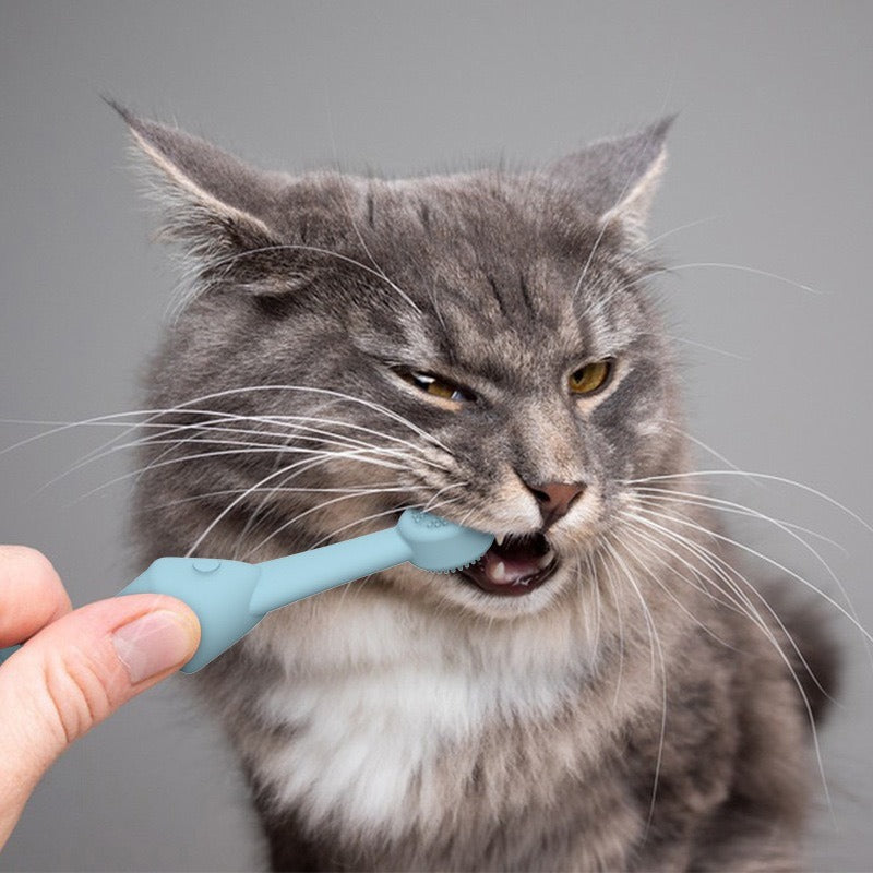 Pet Toothbrush