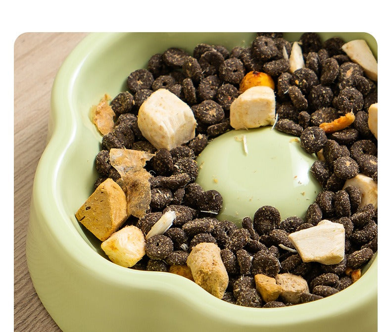 Ceramic Slow Feeder Bowl for Cats & Small Dogs