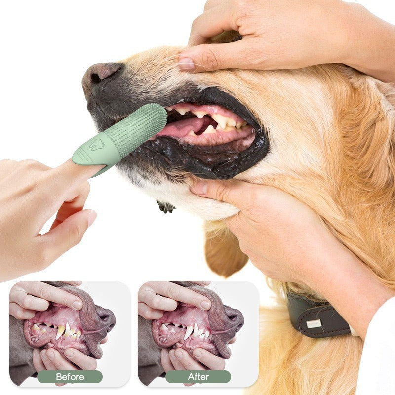 Pet Toothbrush