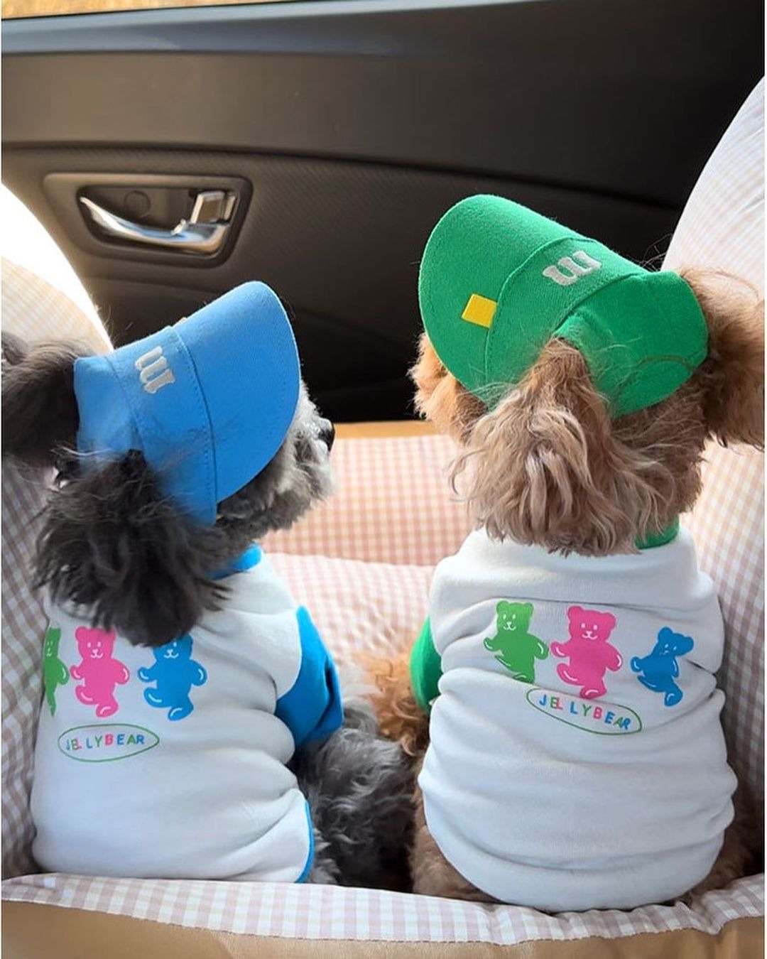 Dog Sun Visor Cap – UV-Blocking, Breathable Brim Hat for Small & Medium Dogs