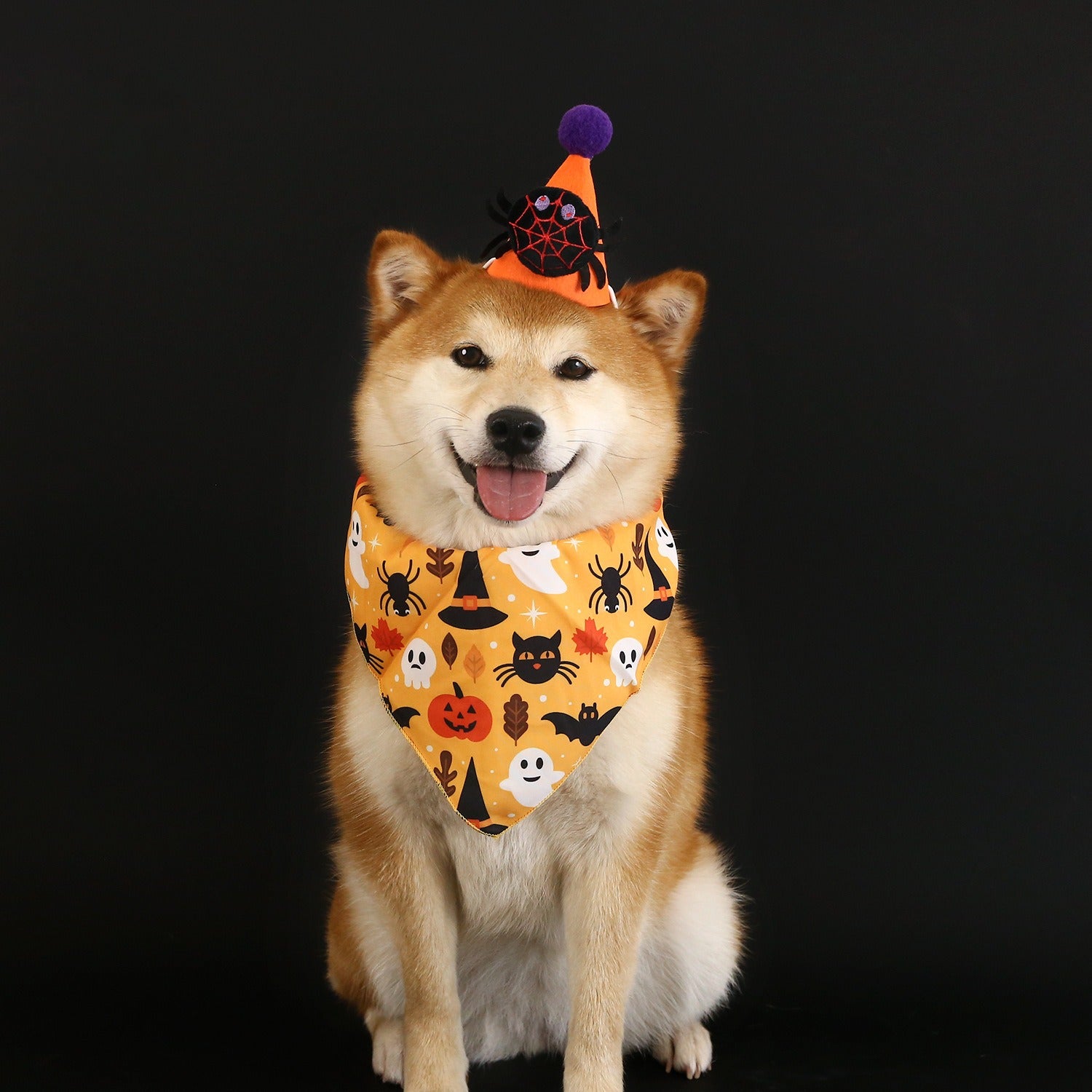 Halloween Pet Accessory for Cats & Dogs – /Pumpkin Headpiece Fits 5.5–44 lbs