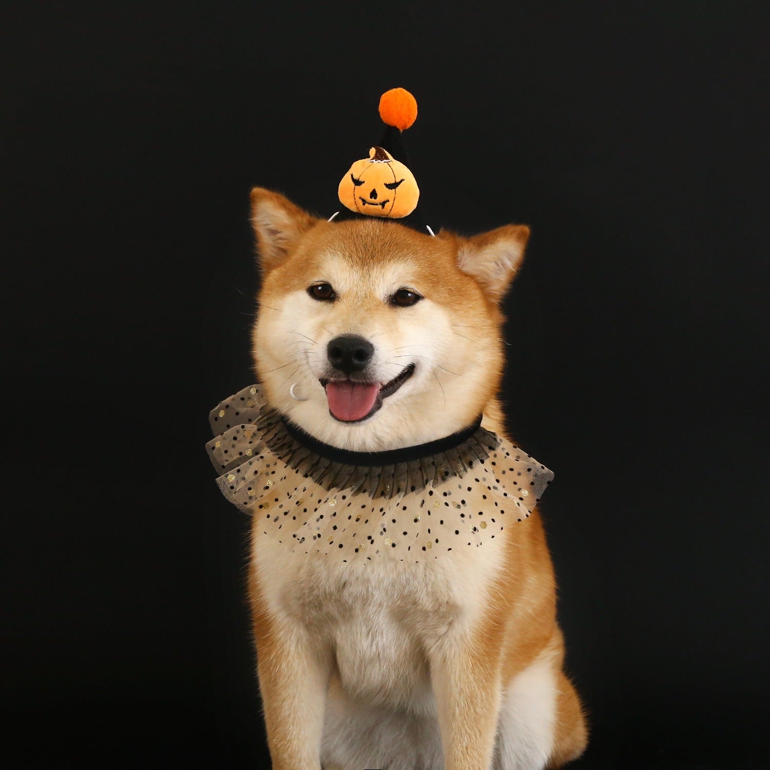 Halloween Pet Accessory for Cats & Dogs – /Pumpkin Headpiece Fits 5.5–44 lbs