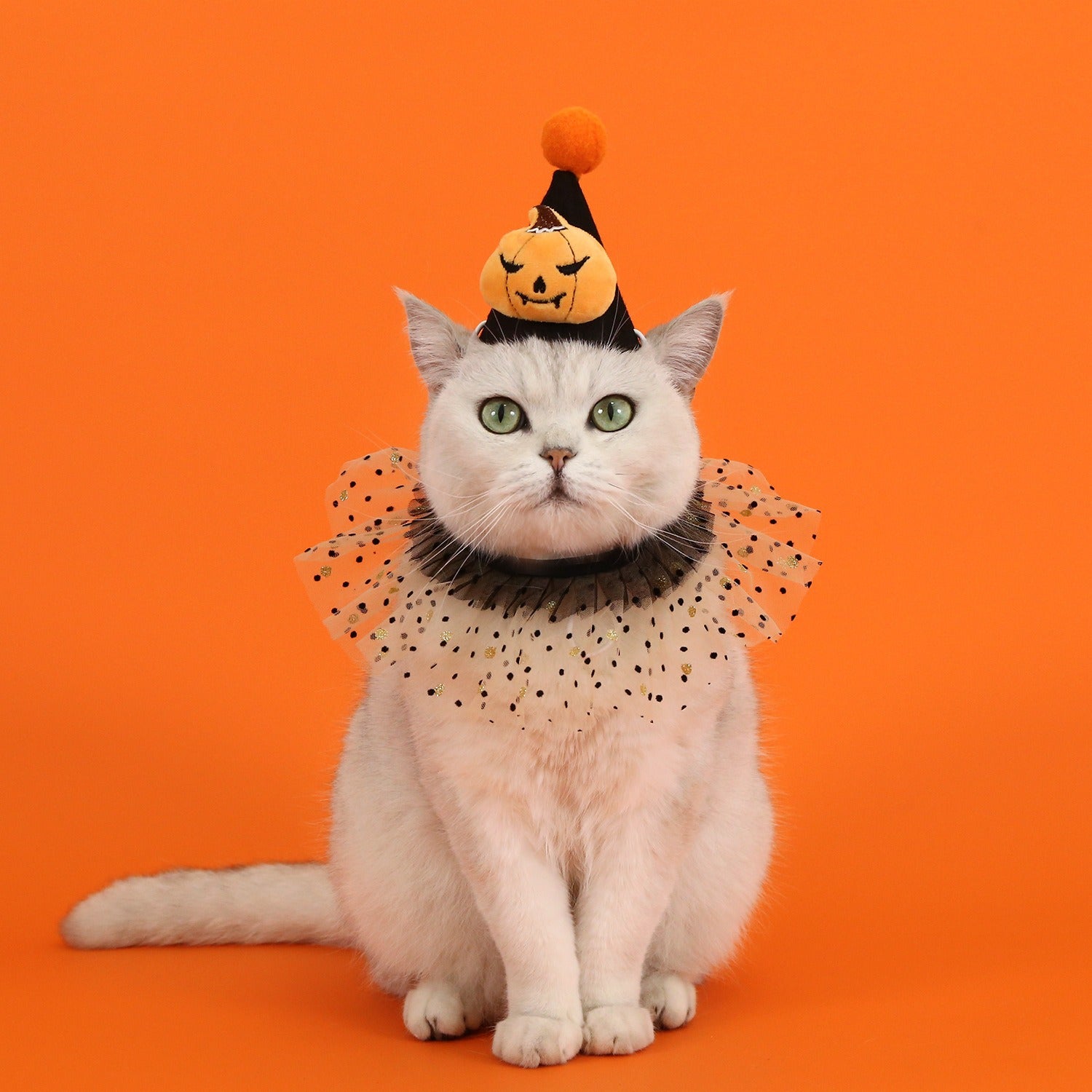 Halloween Pet Accessory for Cats & Dogs – /Pumpkin Headpiece Fits 5.5–44 lbs