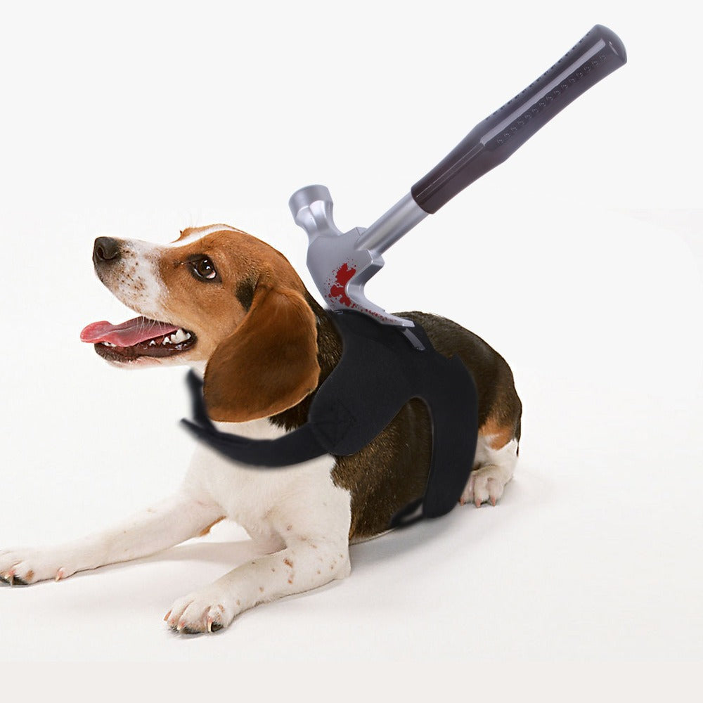 Halloween Costume for Small & Medium Pets – Funny & Festive Pet Dress-Up for Dogs & Cats
