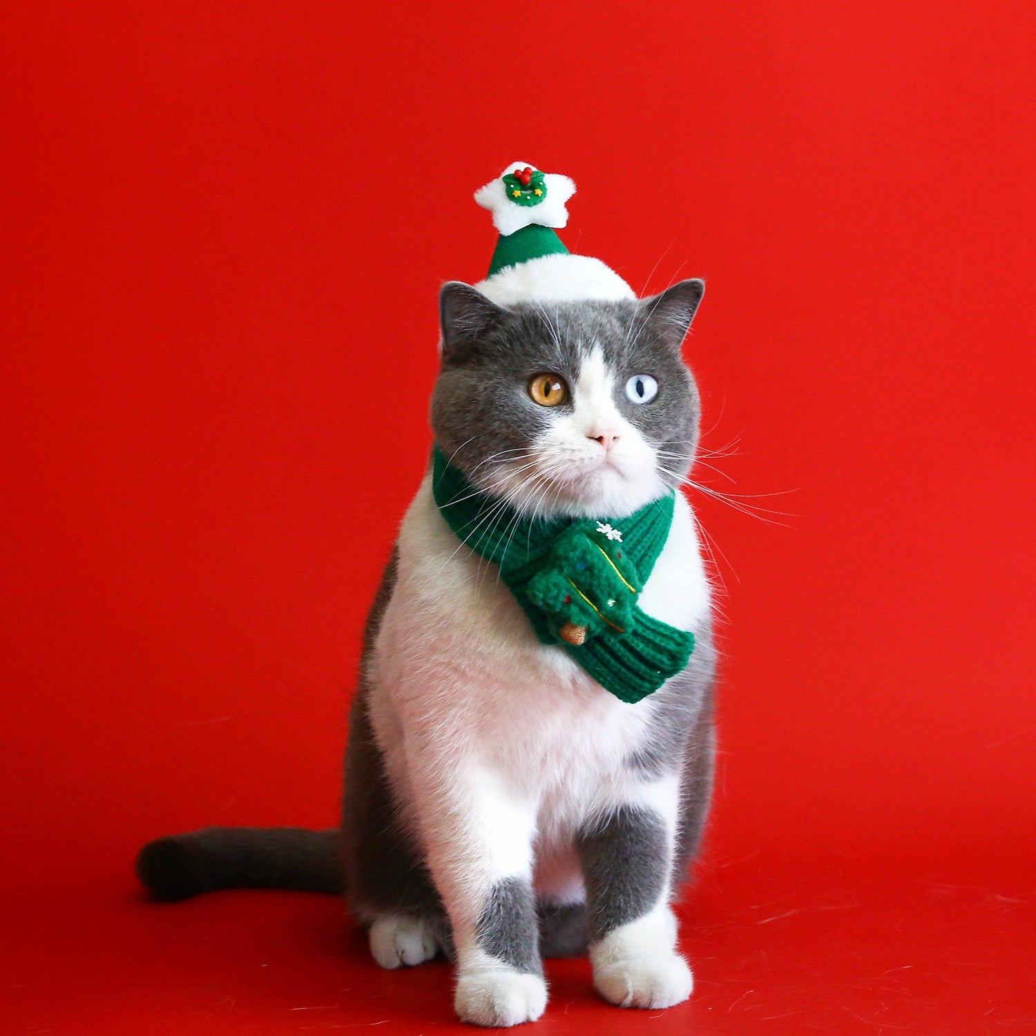 Holiday Knitted Pet Scarf & Hat Set