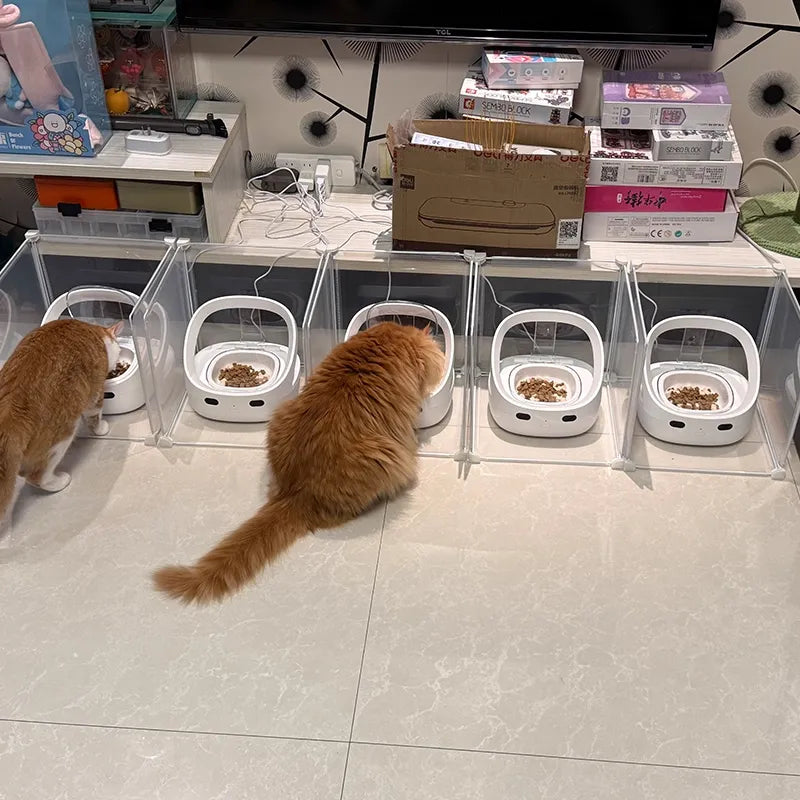 Smart Infrared Pet Feeder – Automatic Sensor-Controlled Food Dispenser