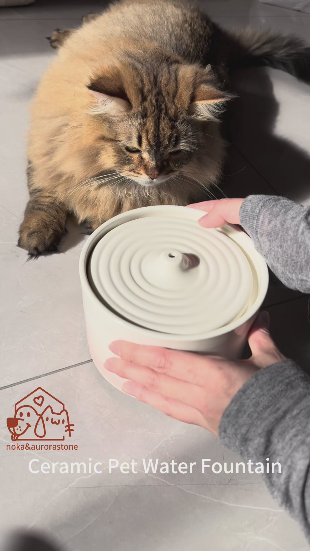 Ceramic Pet Water Fountain | Quiet Circulating Drinking Fountain for Cats & Dogs