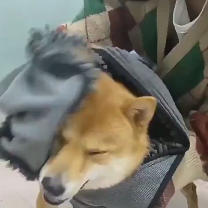 Pet Bath Towel