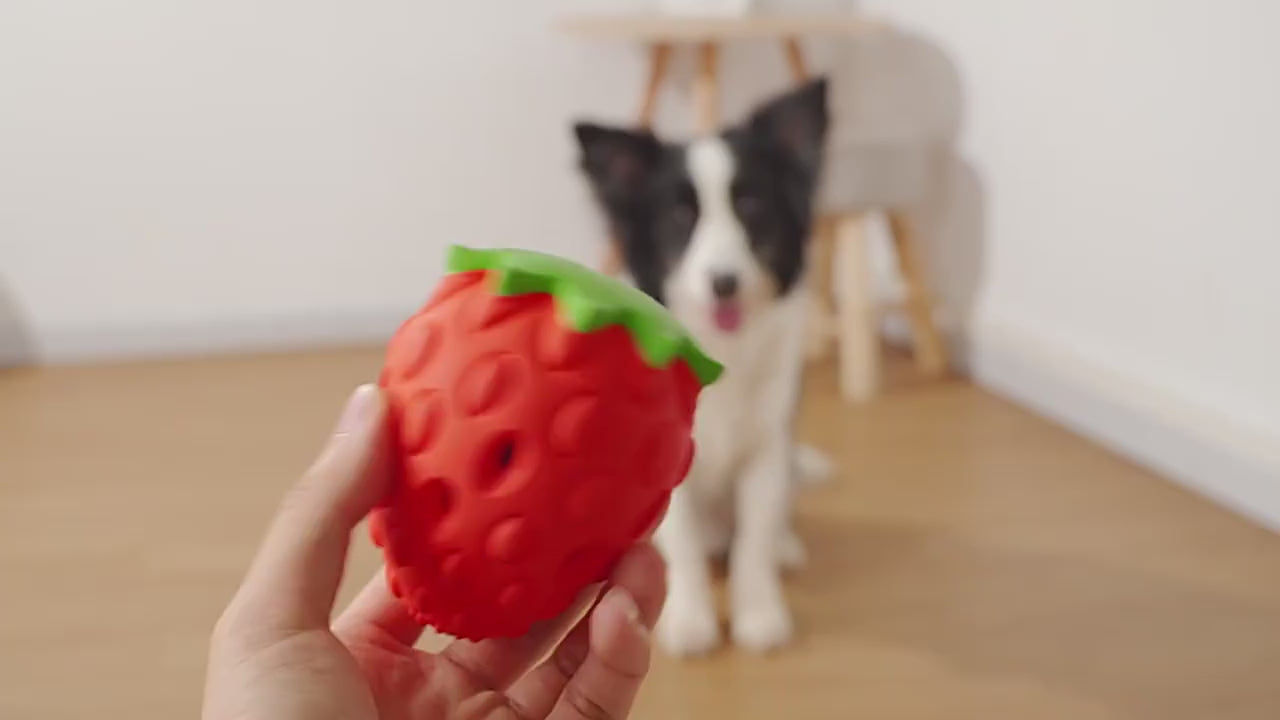 Interactive Chew-Resistant Treat Dispensing Dog Toy – Durable Slow Feeder Puzzle Toy