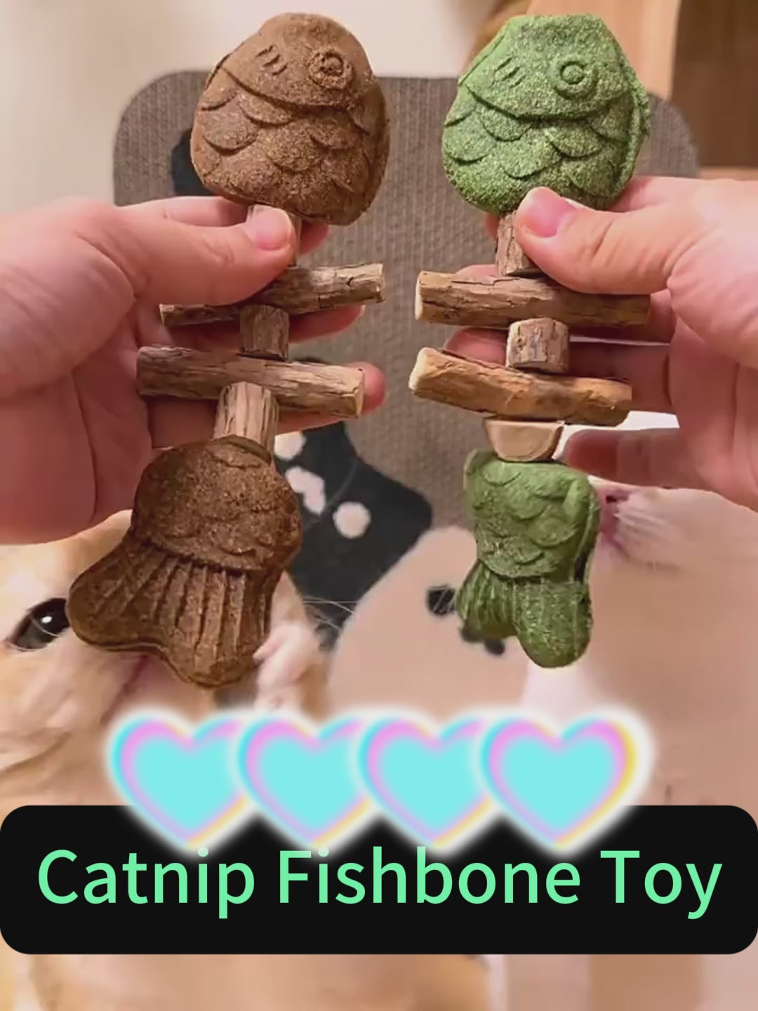 Catnip Fishbone Toy