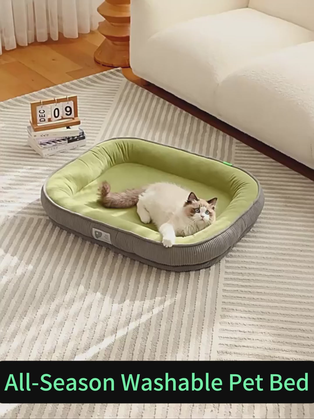 cat bed