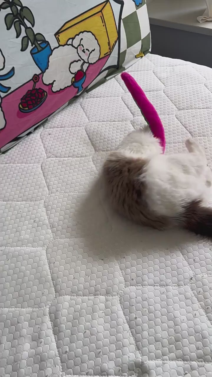 Catnip Fish Kicker Toy – Colorful Plush Cat Toy for Kicking, Chewing & Interactive Play