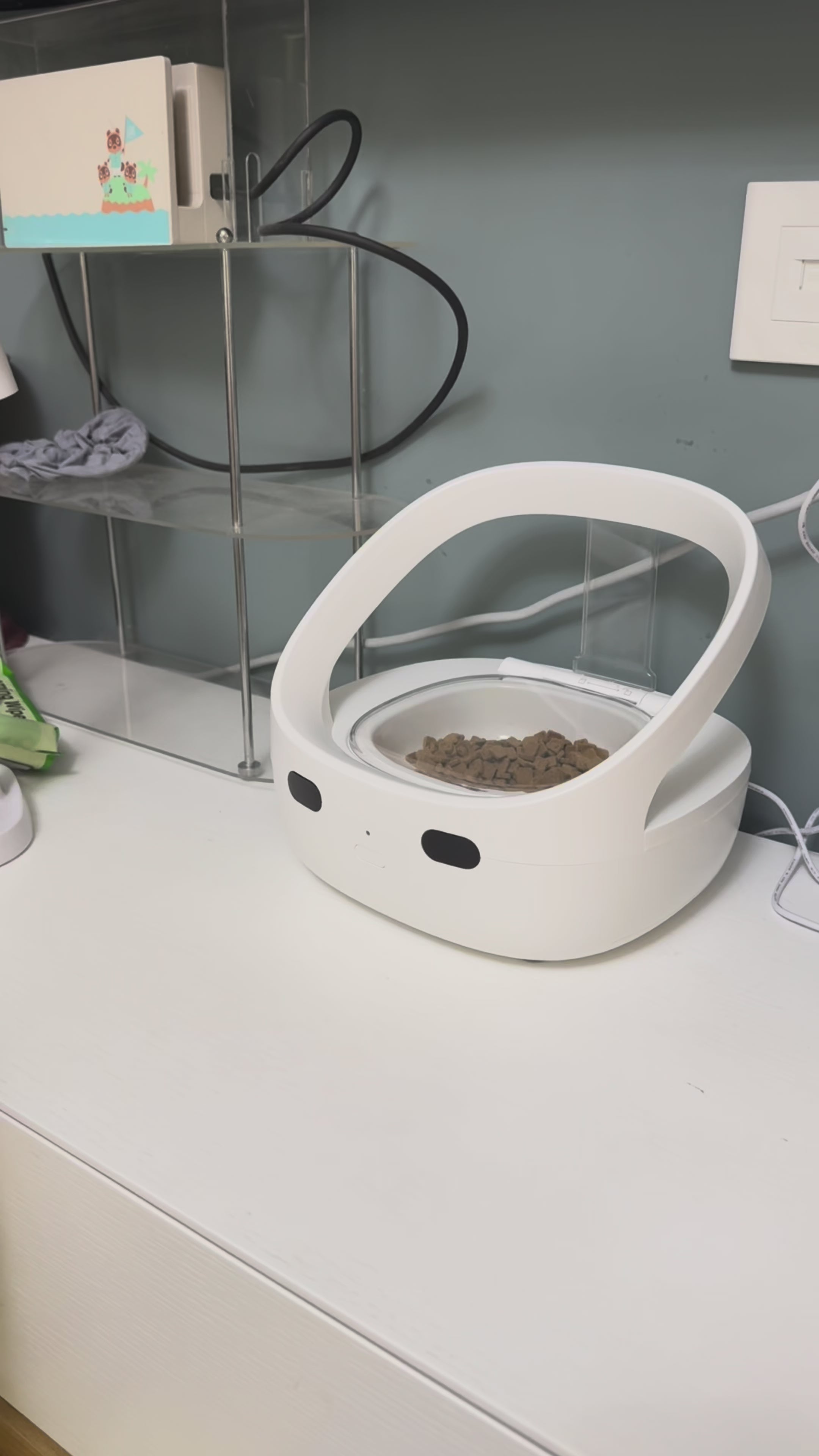 Smart Infrared Pet Feeder – Automatic Sensor-Controlled Food Dispenser