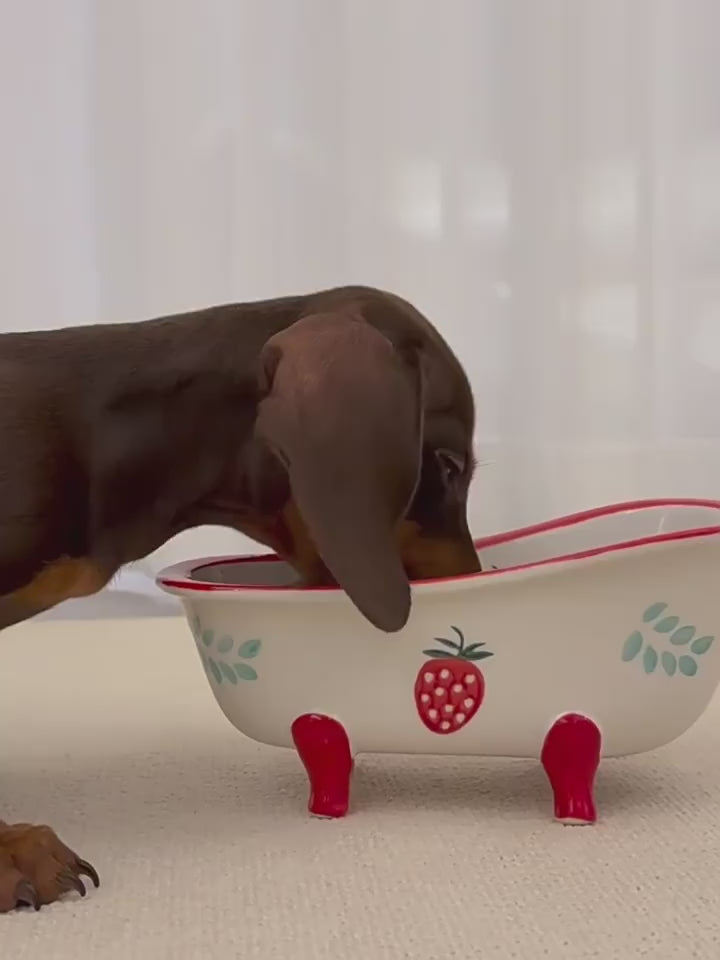 Ceramic Pet Bowl